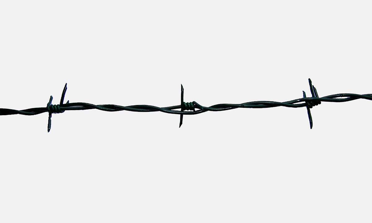 Widerhakensperrdraht-Sperroflex und Stacheldraht